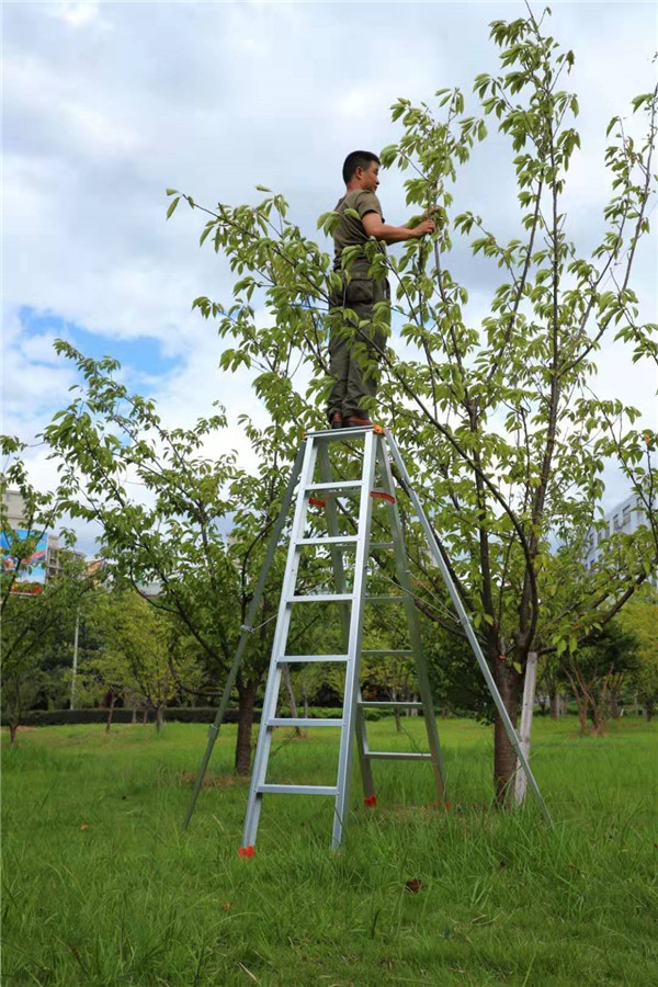 家用抖阴污版下载大全厂家.jpg